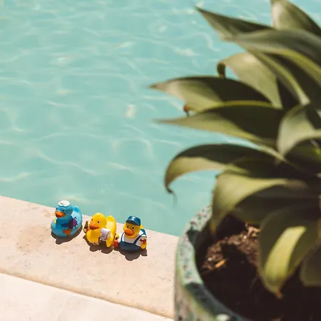 Glamping Olive And Sea * Bibinje