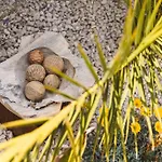 Glamping Olive And Sea 比比涅