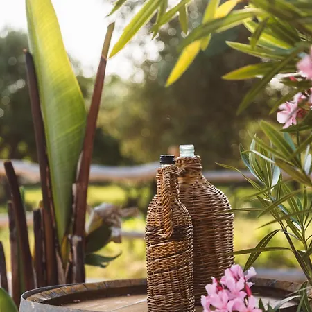 Glamping Olive And Sea * ביבינייה