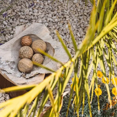 Glamping Olive And Sea ביבינייה