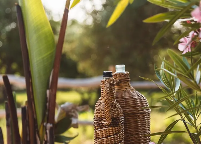 Glamping Olive And Sea * Bibinje